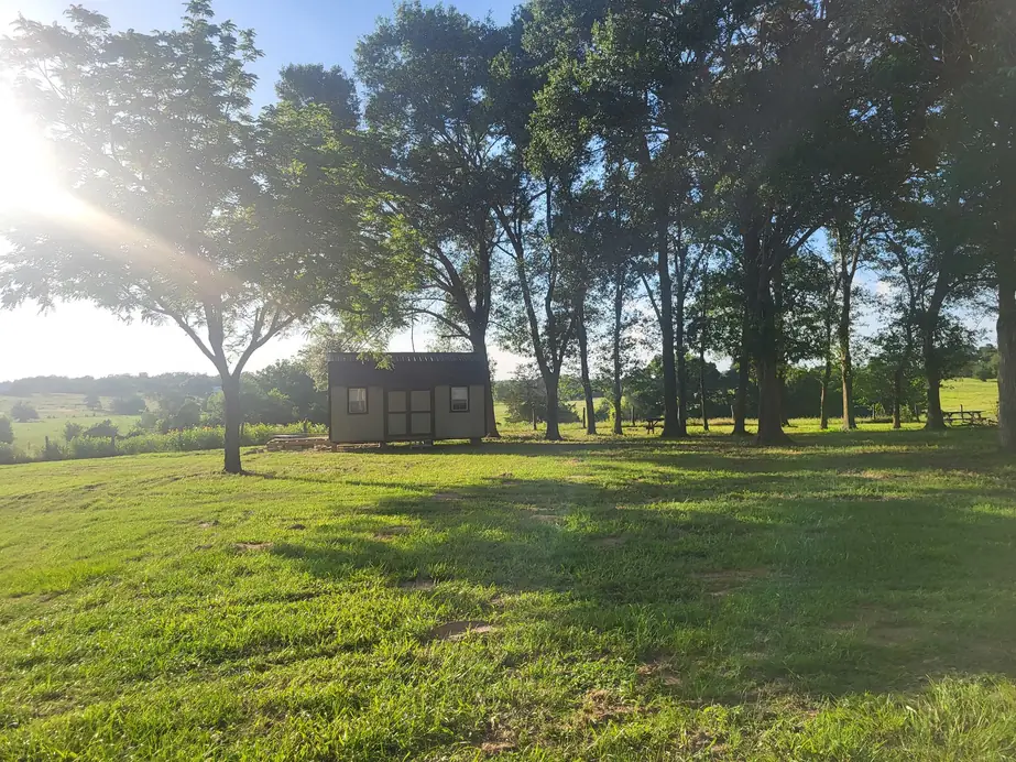 A grove of mature shade trees on mown grass with a small cabin in the distance and open hill country beyond
